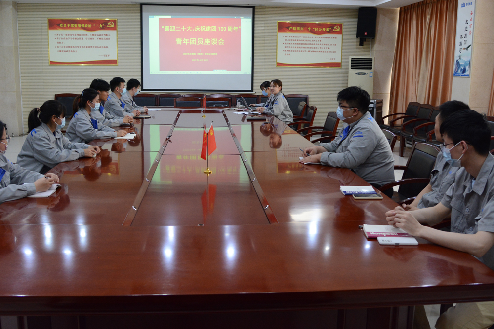 以党建带团建 凝聚青年力量